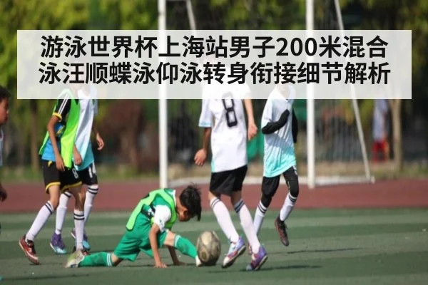 游泳世界杯上海站男子200米混合泳汪顺蝶泳仰泳转身衔接细节解析（kaiyun）